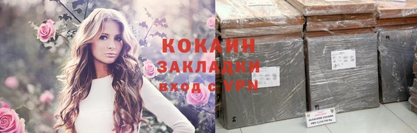 гидра Белокуриха
