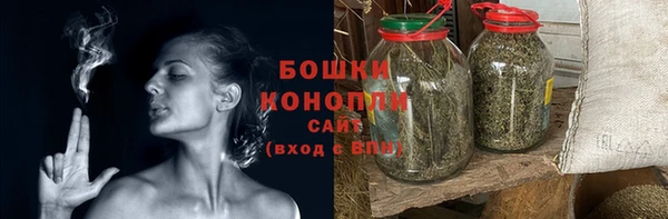 гидра Белокуриха