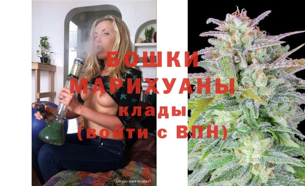 гидра Белокуриха