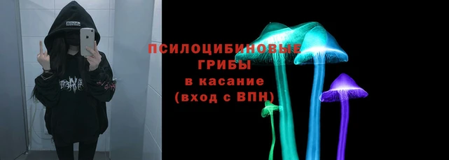 гидра Белокуриха